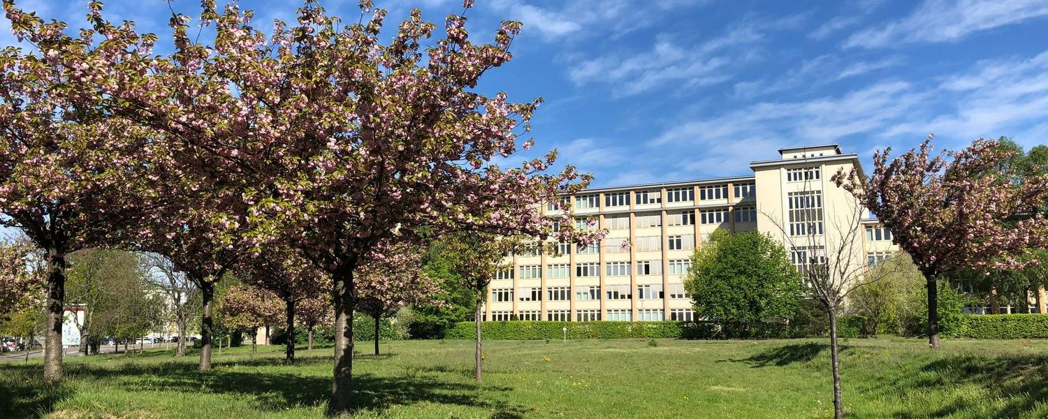 SBH Nordost GmbH dresden chip academy
